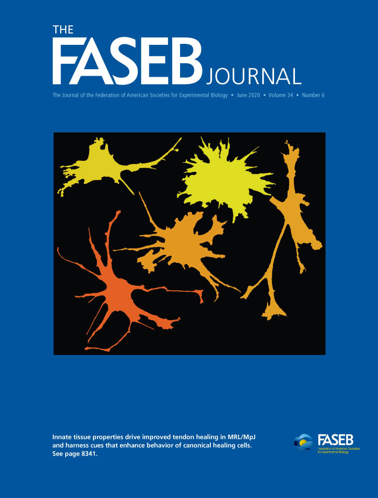 The FASEB Journal