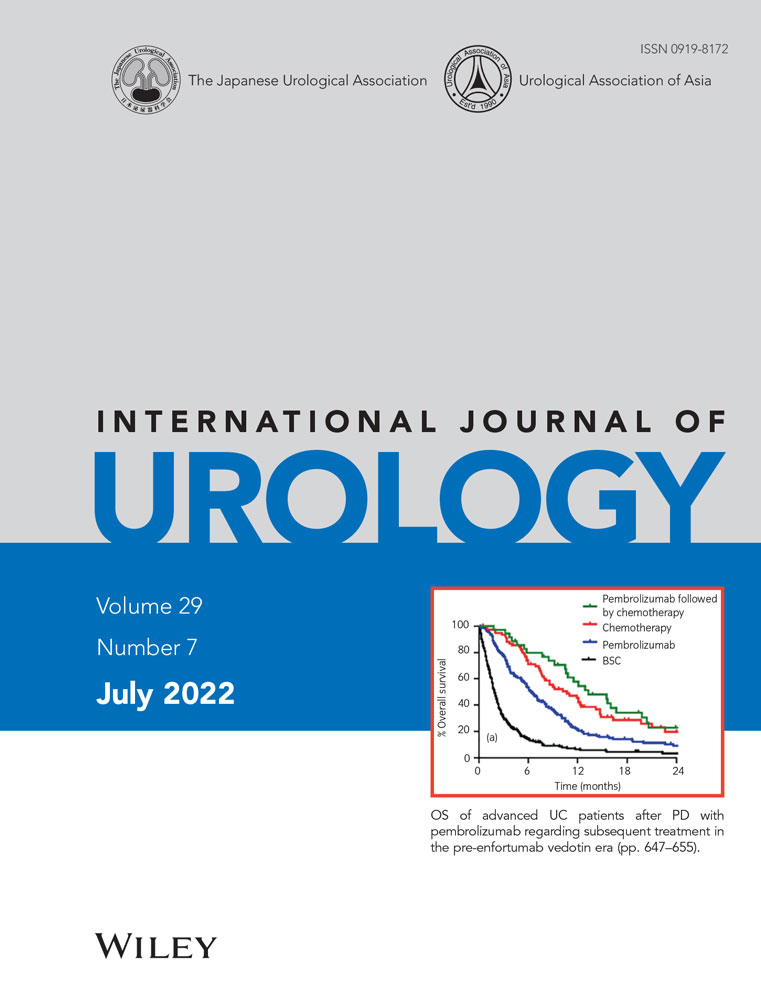 International Journal of Urology
