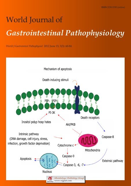 World Journal of Gastrointestinal Pathophysiology